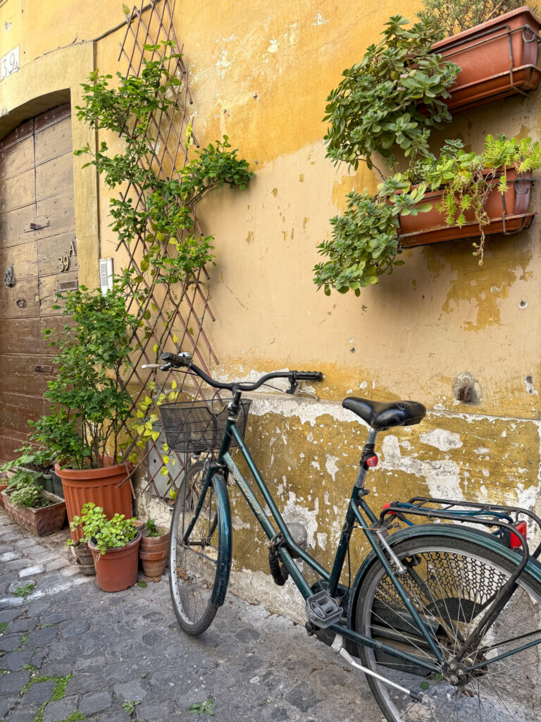 A bicycle set against a yellow wall with hanging plants